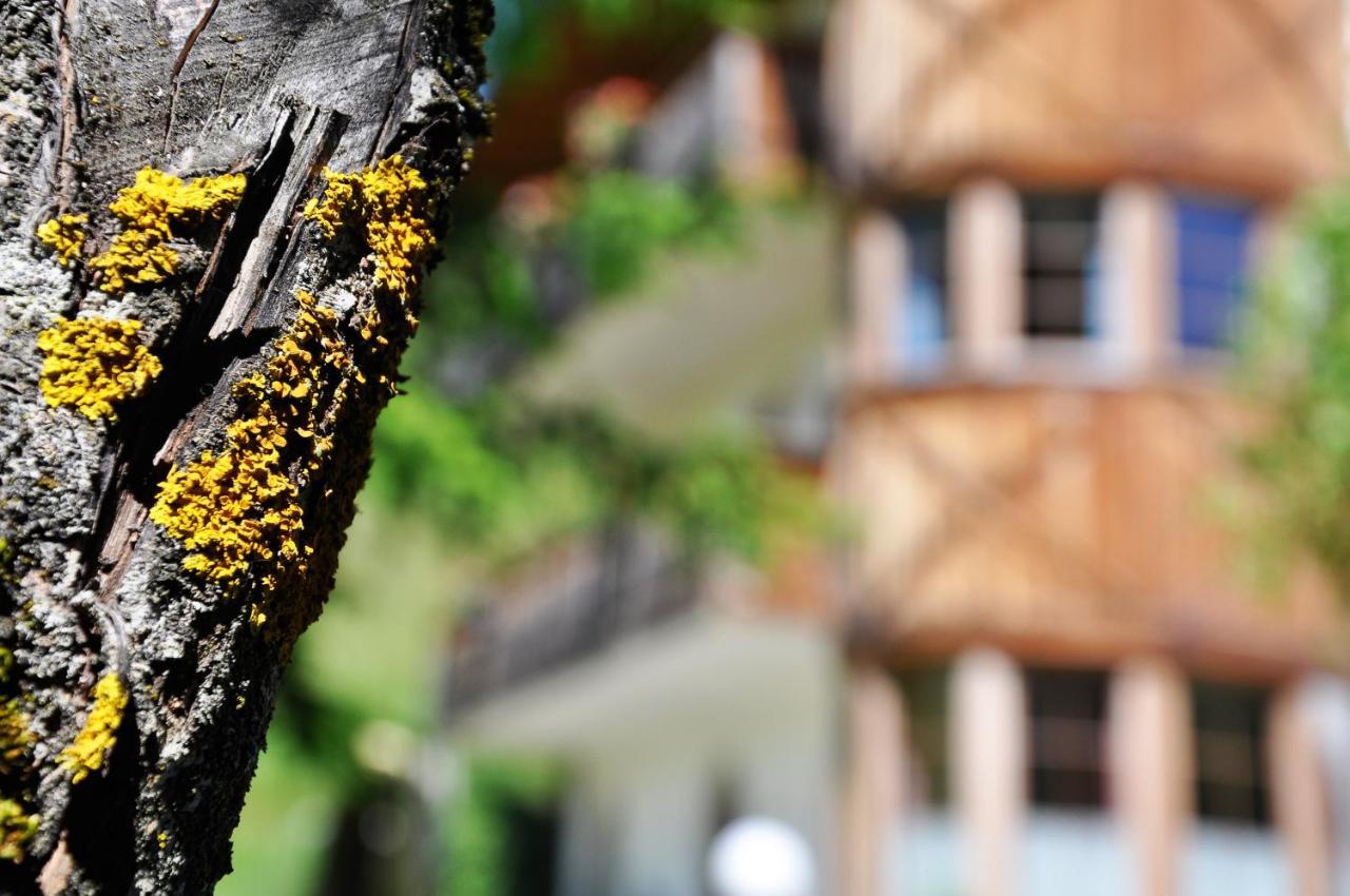 Pension Rungg Badia (South Tyrol) Bagian luar foto
