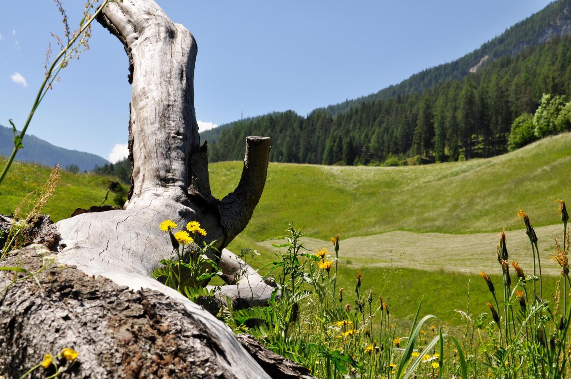 Pension Rungg Badia (South Tyrol) Bagian luar foto